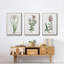 " Rose Botanical I " 3 - Pieces-91891239-91891240