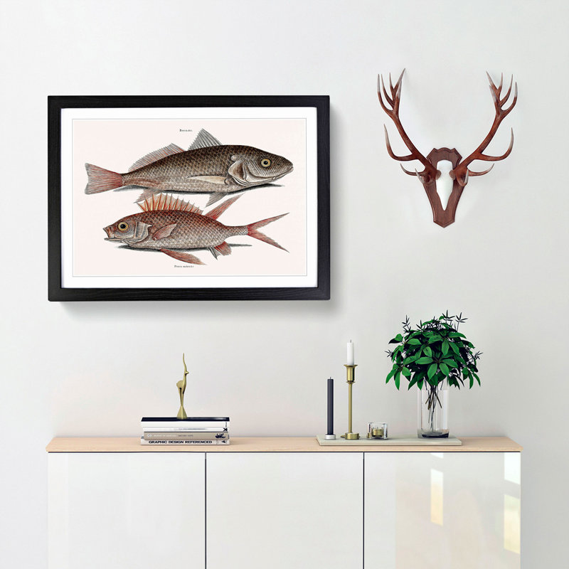 Croaker Fish & Squirrelfish by Mark Catesby - Picture Frame Painting Print, 62cm H x 87cm W x 2cm D, Black Framed