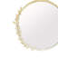 Miroir Jakevious