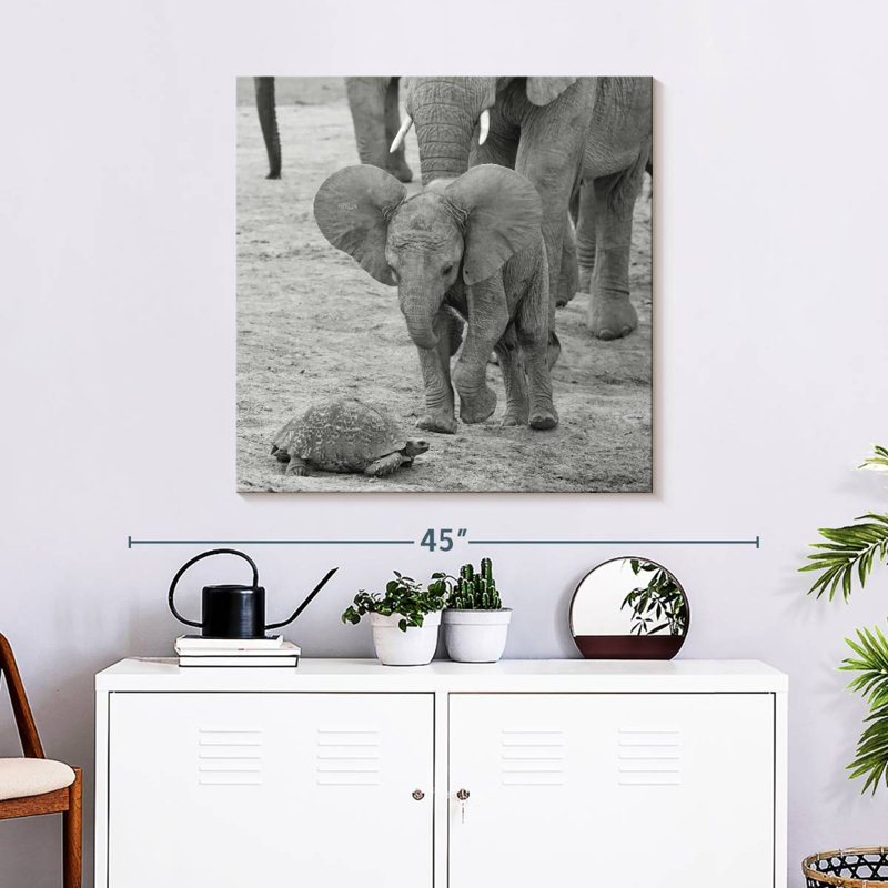 Crowle Elephant Baby I