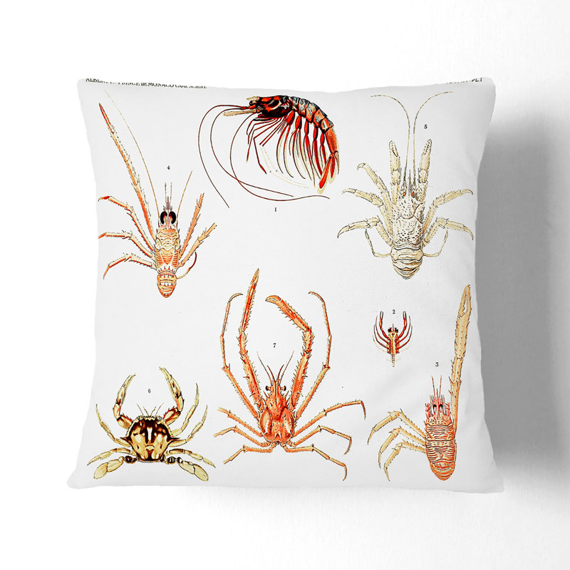 Square Throw Cushion, 55cm H x 55cm W x 20cm D