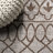 Ramazan Tribal Bohemian Beige/Brown Indoor/Outdoor Rug-1745231916