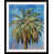 Black Framed n'est pas disponible