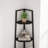 Pursel 68.5'' Tall 5 Tier Corner Bookcase-777533058