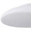 Shantris Glass Flush Mount