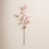 Light Pink is out of stock