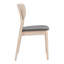 Ensemble de 2 chaises d'appoint Modern