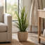 Outdoor UV-Rated Tall Grass Drop In