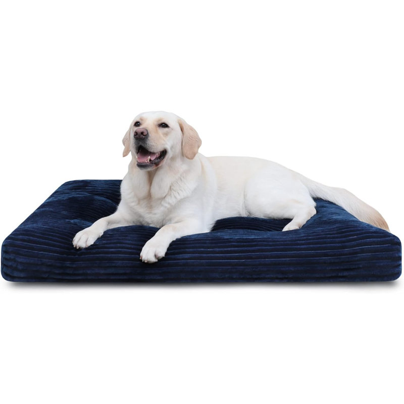 Lits pour chien Eibhlis, H 4 po x l 27 po x P 41 po, Bleu