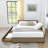 Storage Upholstered Tufted Bed Frame-1992101387