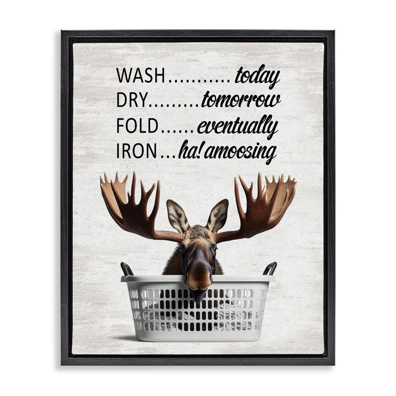 Cadre flottant Sassy Moose & Laundry, Cadre flottant noir de jais, H 21 po x l 17 po