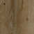 Hickory Oak