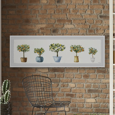 " Lemon Lane "