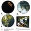 «Lakehouse Bench Relaxation I», reproductions d'art mural Lakehouse-853350737-853350766