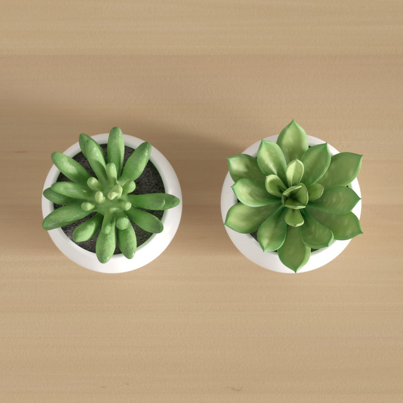 Ensemble de plantes grasses artificielles en pot 2 pièces