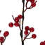 Faux Berry Branch