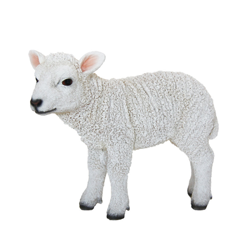 Agneau Aaseem, H 8 po x l 10 po x P 3 po