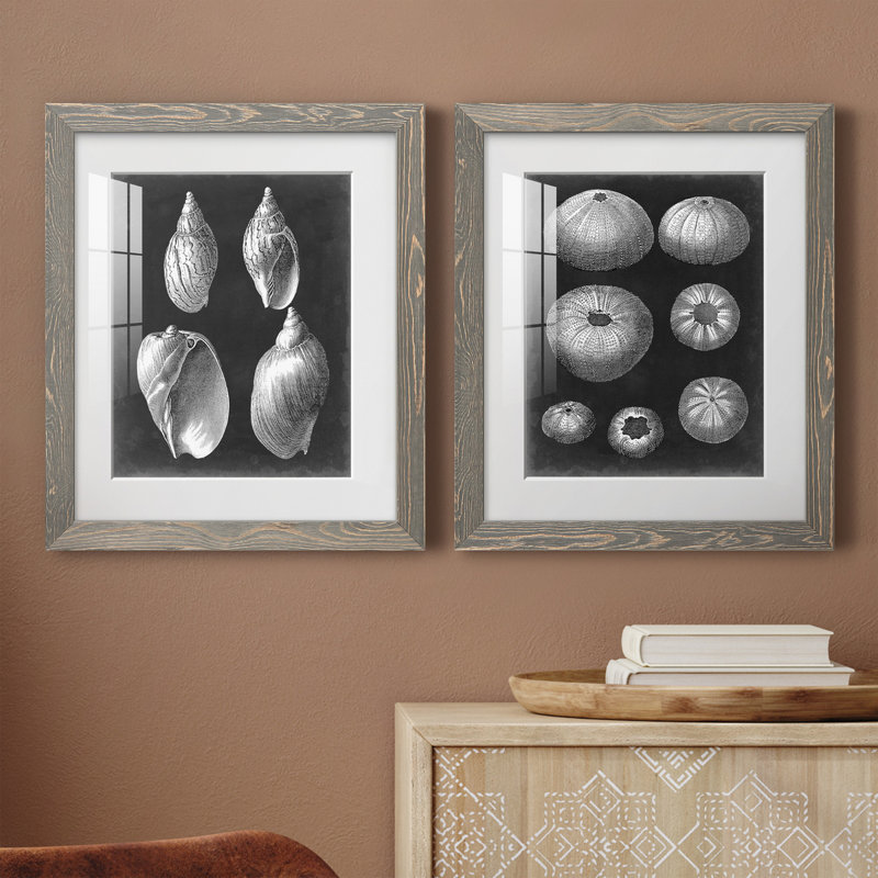 Alabaster Shells II, reproduction d'art encadrée - prête à être accrochée, H 20 po x l 17 po x P 1 po, Cadre en papier gris
