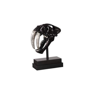 Saber Tooth Tiger Skull