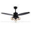 Ventilateur de plafond 42 po avec ensemble d'éclairage