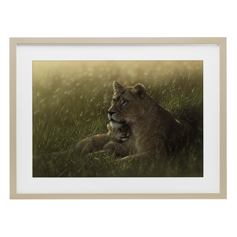 «Safe Haven Lion Cub», reproduction encadrée sous verre, conception de Collin Bogle, Cadre de récolte en pin