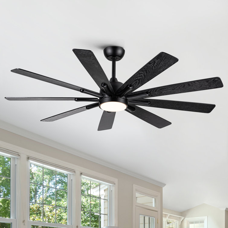Kiriana 62'' Ceiling Fan with LED Lights