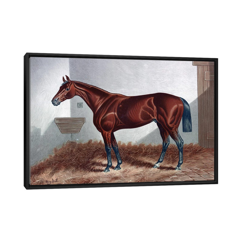 «Horse II» par - impression sur toile tendue, H 18 po x l 26 po x P 1,5 po, Toile encadrée noire, Pas de tapis