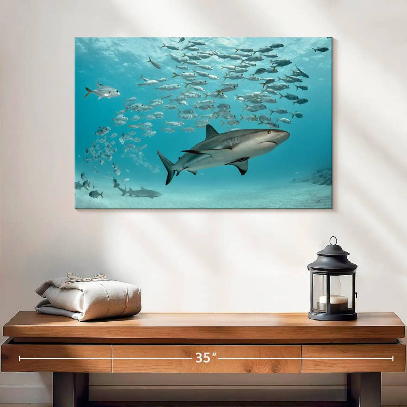 Brampt, poisson et requin des Caraïbes, H 16 po x l 24 po