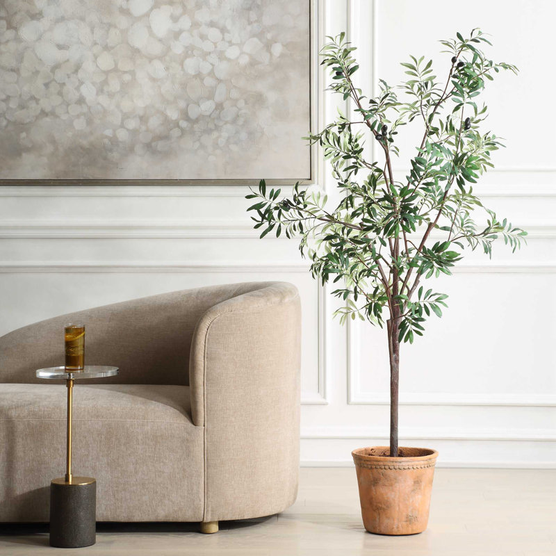 Olivier en pot Uttermost Olea