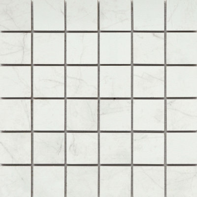 Sterlina II 12" x 12" Porcelain Solid Decorative Tile