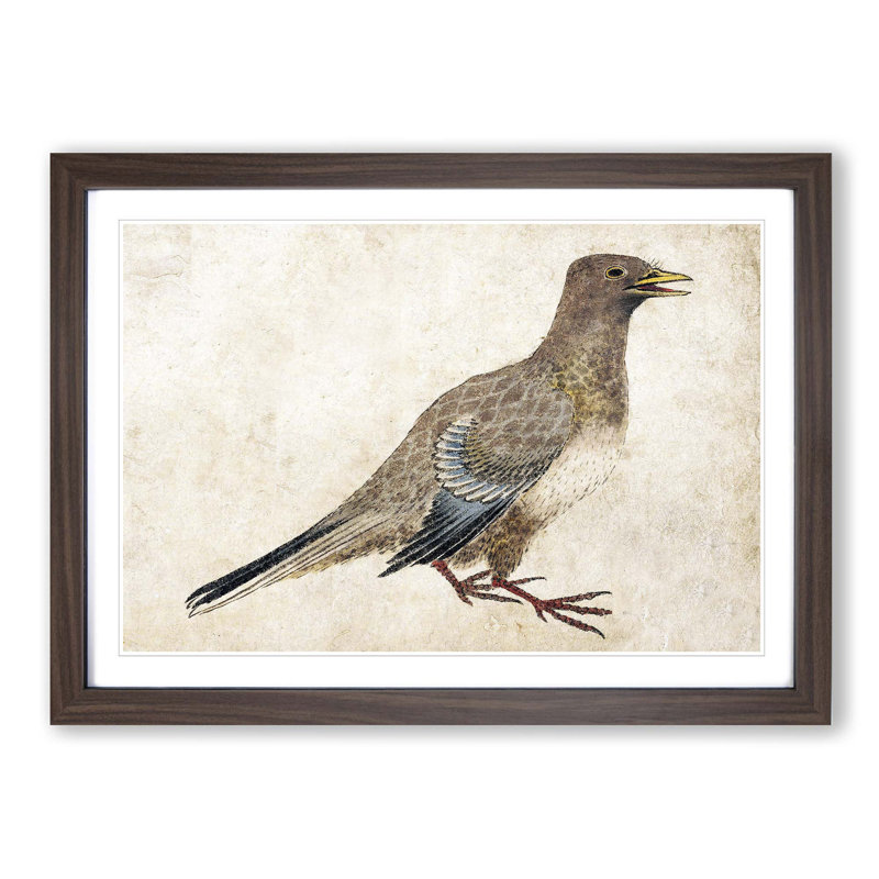Pigeon by Katsushika Hokusai - Picture Frame Painting Print, Walnut Framed, 48cm H x 65cm W x 2cm D