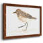 «Pretty Piper IV», reproduction d'art sur toile-96281405-96281410