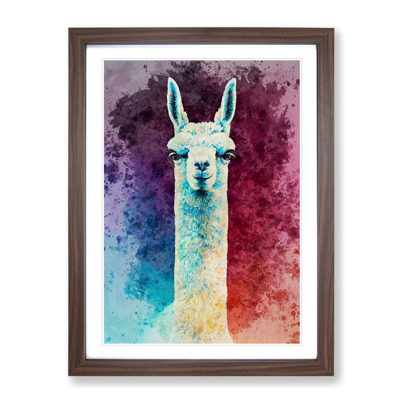 Llama Portrait - Framed Print, 64cm H x 46cm W x 2cm D, Walnut