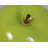 Dimont Medium Apple Over Sized Statue-160640772-160640775