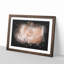 Light Pink Rose Paint Splash - Picture Frame Graphic Art-56865507-56865512