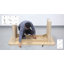 63-Inch Office Desk, Modern Executive Desk-348619189