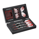 Casemaster Dart Case