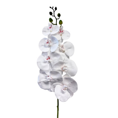 Orchidée phalaenopsis 31 po Real Touch 31 po x 8 fleurs (2 tiges par boîte)