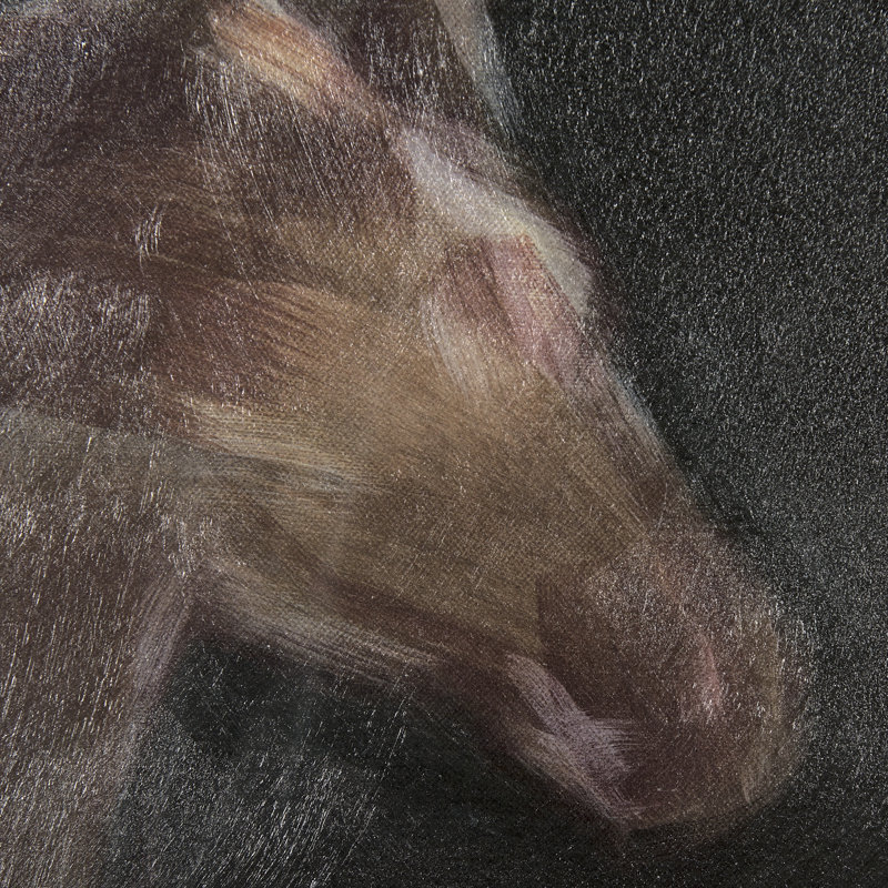 Running Wild - Speed Hand Embelished Textured Framed Art Print Matted under Glass