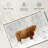 Brampt Winter Highland Cow-108906082