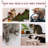 Alexandro 109.22cm H Cat Tree