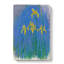 Yellow Irises Study by Claude Monet - Wrapped Canvas-61880906
