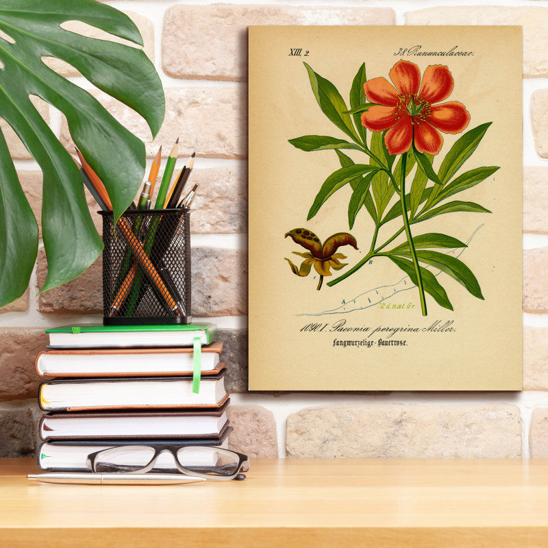 Toile épique Graffiti «Paeonia Peregrina Miller» par Art Licensing Studio, 12 po x 16 po, H 16 po x l 12 po