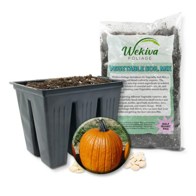 Big Doris Pumpkin Seed Starter Kit - Pumpkin Seeds with Tray Line and Half Quart Vegetable Soil Mix - Grow Your Own Vegetables