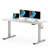 Baysenie Adjustable Height Modular Steel Standing Desk-554426438-554426443-613488161
