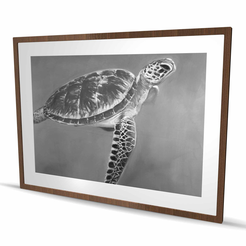 Grayscale Aquatic Turtle - Black Exotic Framed Print Decor