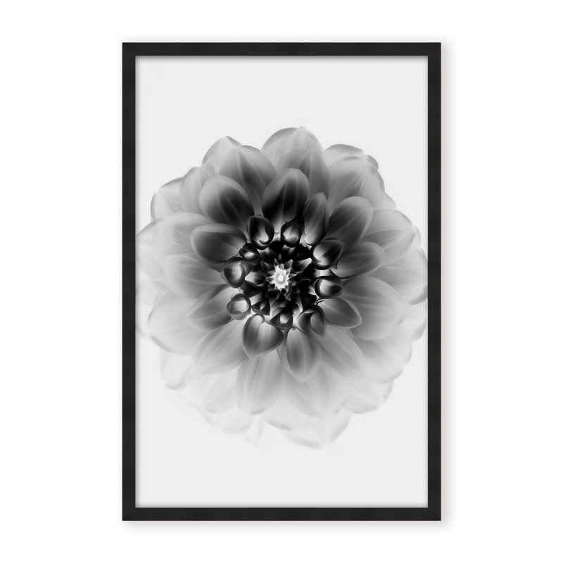 X-Ray Print by Alex Zhao, 24" H x 16" W x 1.125" D, Black, Framed Matted Print