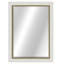 Metropolis Resin Beveled Wall Mirror-41081417-41081424