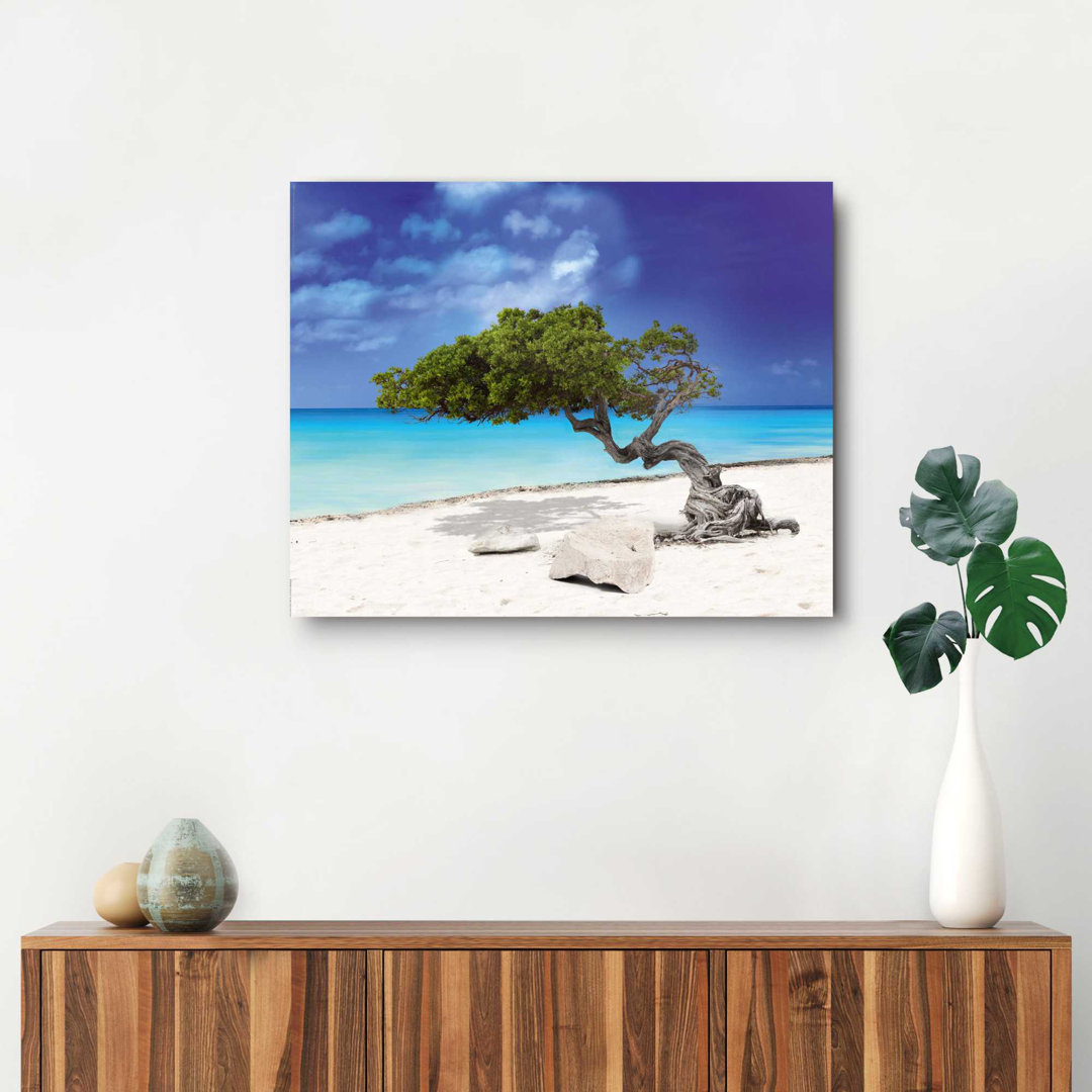 Wandbild Deco Panel Tropische Insel Baum - Strand - Sand - Divi Divibaum