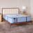 Sealy Posturepedic® Pro Fuller 14" Firm Tight Top Innerspring Mattress-118534437